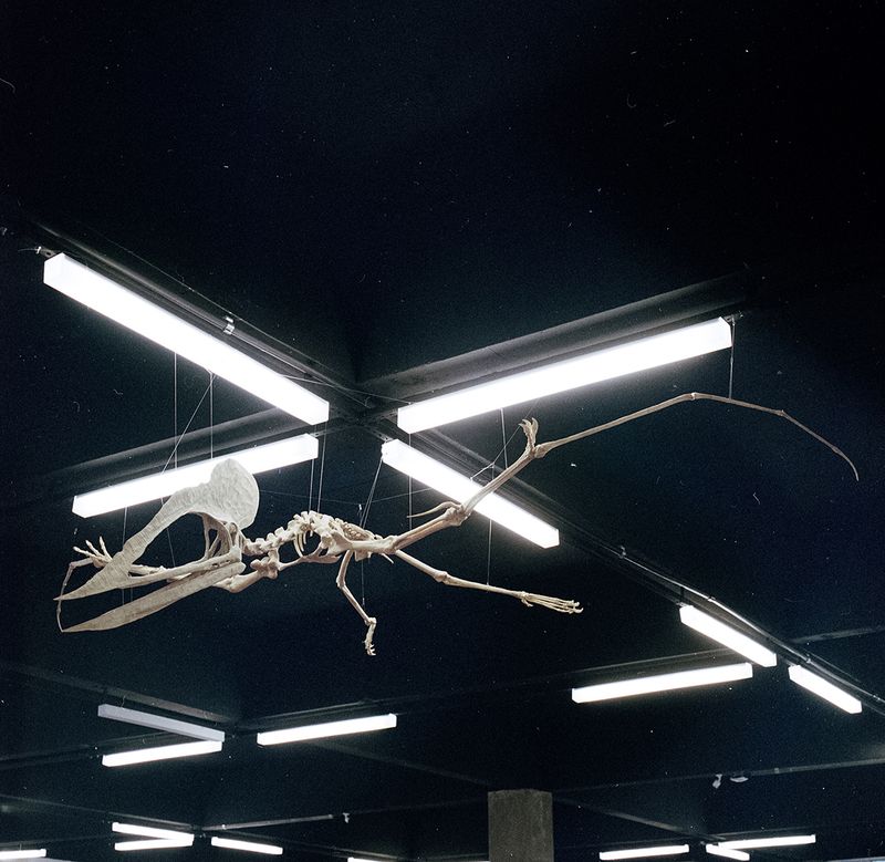 © Paula Pedrosa - Image from the The living nature of the stone-dead photography project