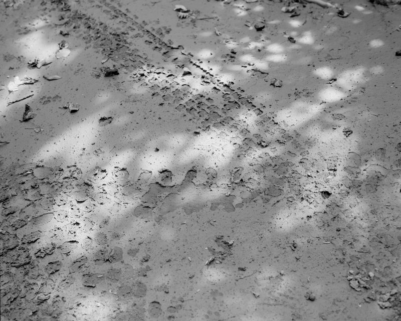 © Ian Byers-Gamber - Hatfield and McCoy Trail 10, 2024