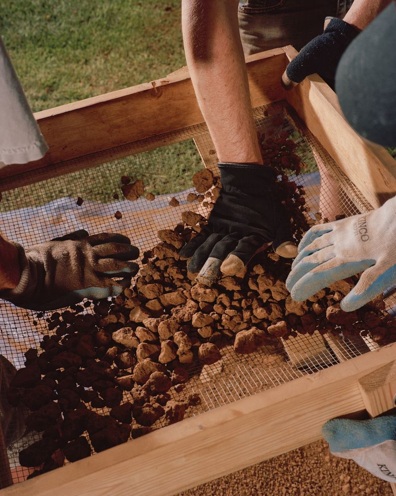© Ian Byers-Gamber - Archaeology, Holly Grove, 2024