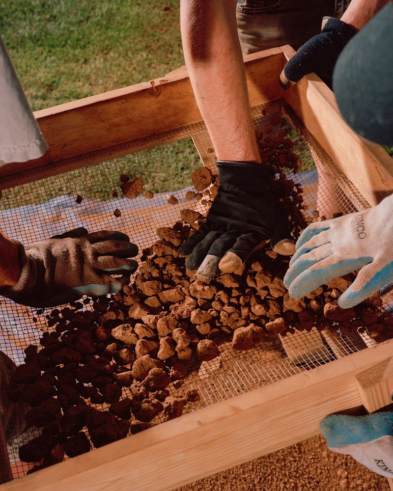 © Ian Byers-Gamber - Archaeology, Holly Grove, 2024