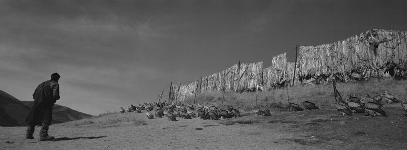 © Hao Wu - “Pilgrimer and vultures”. Da’ri, Tibetan Autonomous Prefecture of Golog, Qinghai province, China. 2024.