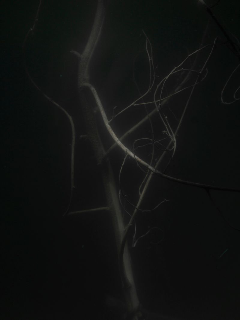 © Pietro Lo Casto - Image from the New Gods photography project