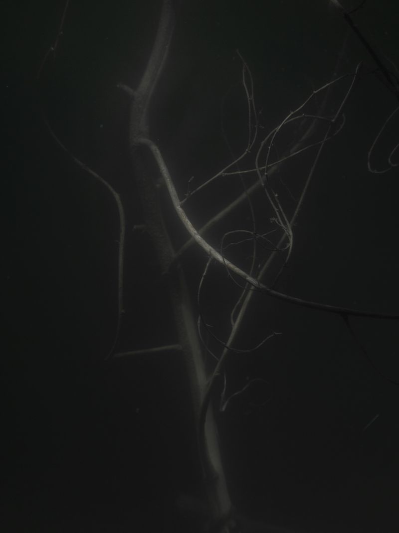 © Pietro Lo Casto - Image from the New Gods photography project
