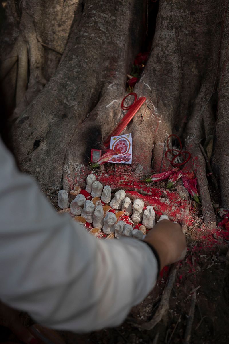 © Pietro Lo Casto - Image from the TO SEARCH THE SECRET OF THE FOREST photography project