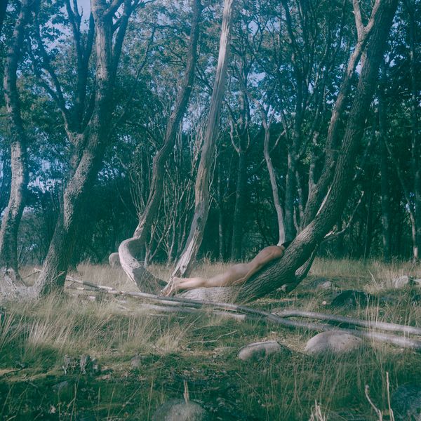 © Charlotta Hammar - Trying to be a stem