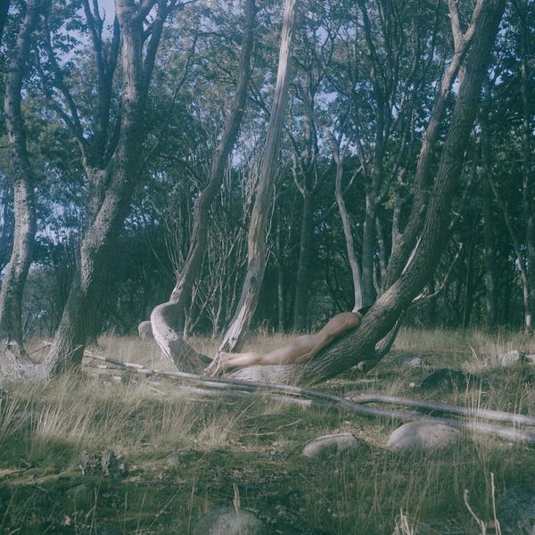 © Charlotta Hammar - Trying to be a stem