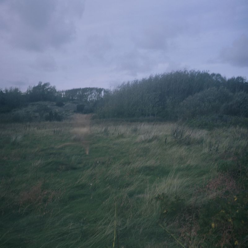 © Charlotta Hammar - Trying to be wind