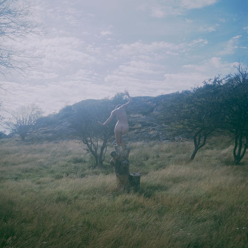 © Charlotta Hammar - Trying to be the continuation of a dead tree stem