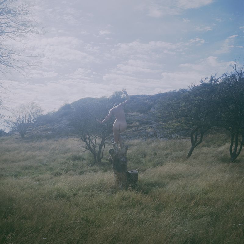 © Charlotta Hammar - Trying to be the continuation of a dead tree stem
