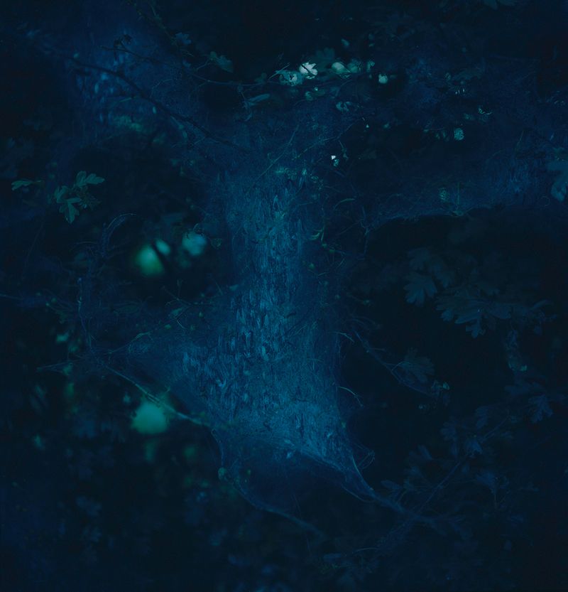 © Charlotta Hammar - Image from the ALL SHELTERS ARE MARKED WITH A SIGN photography project