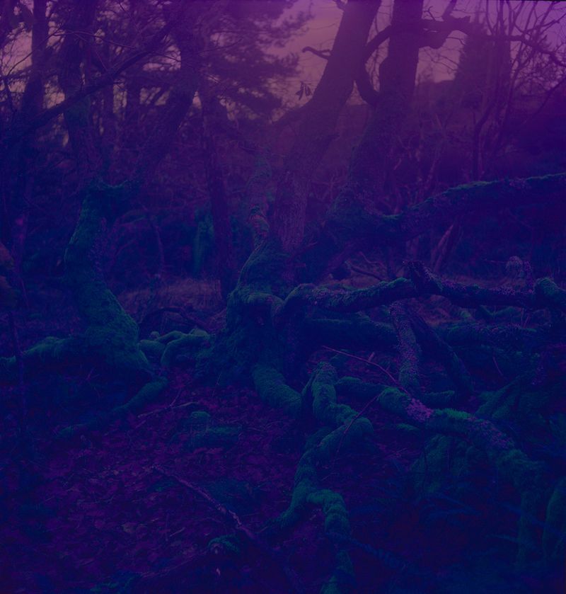 © Charlotta Hammar - Image from the ALL SHELTERS ARE MARKED WITH A SIGN photography project