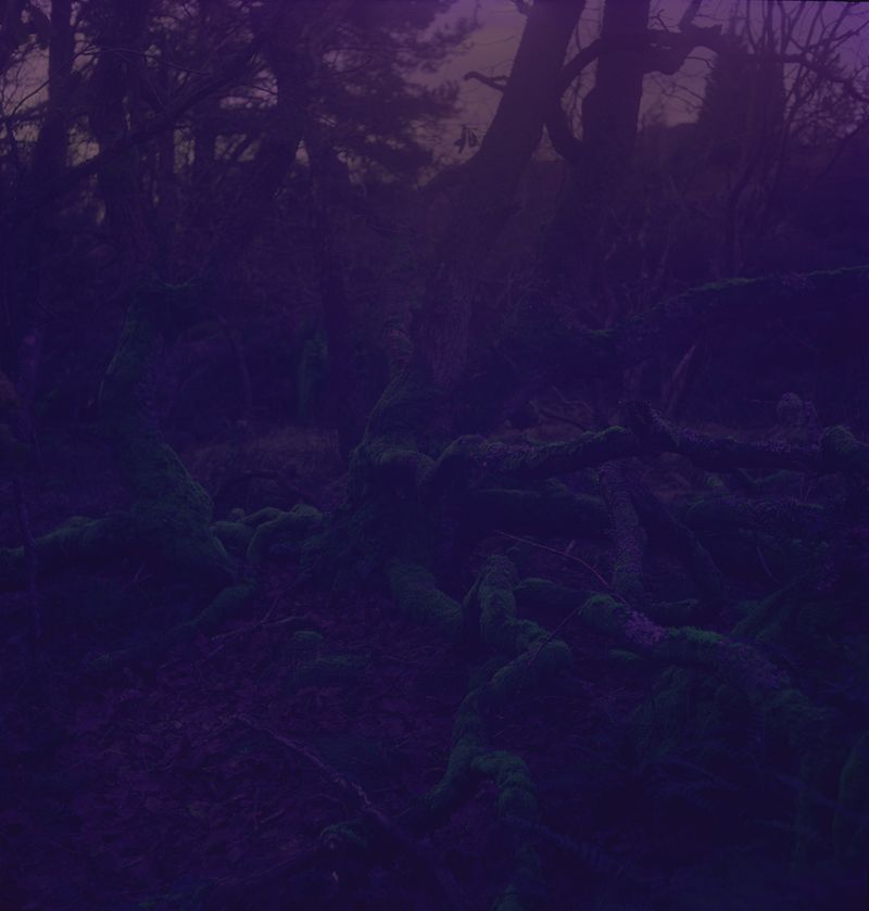 © Charlotta Hammar - Image from the ALL SHELTERS ARE MARKED WITH A SIGN photography project
