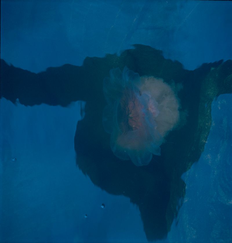 © Charlotta Hammar - Image from the ALL SHELTERS ARE MARKED WITH A SIGN photography project