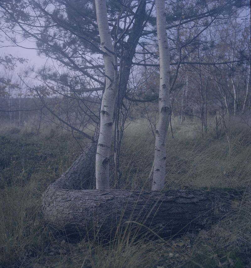 © Charlotta Hammar - Image from the ALL SHELTERS ARE MARKED WITH A SIGN photography project