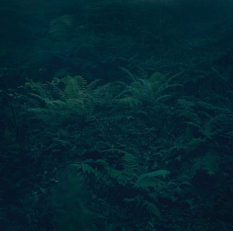 © Charlotta Hammar - Image from the ALL SHELTERS ARE MARKED WITH A SIGN photography project