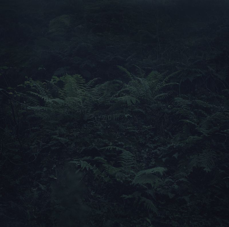 © Charlotta Hammar - Image from the ALL SHELTERS ARE MARKED WITH A SIGN photography project