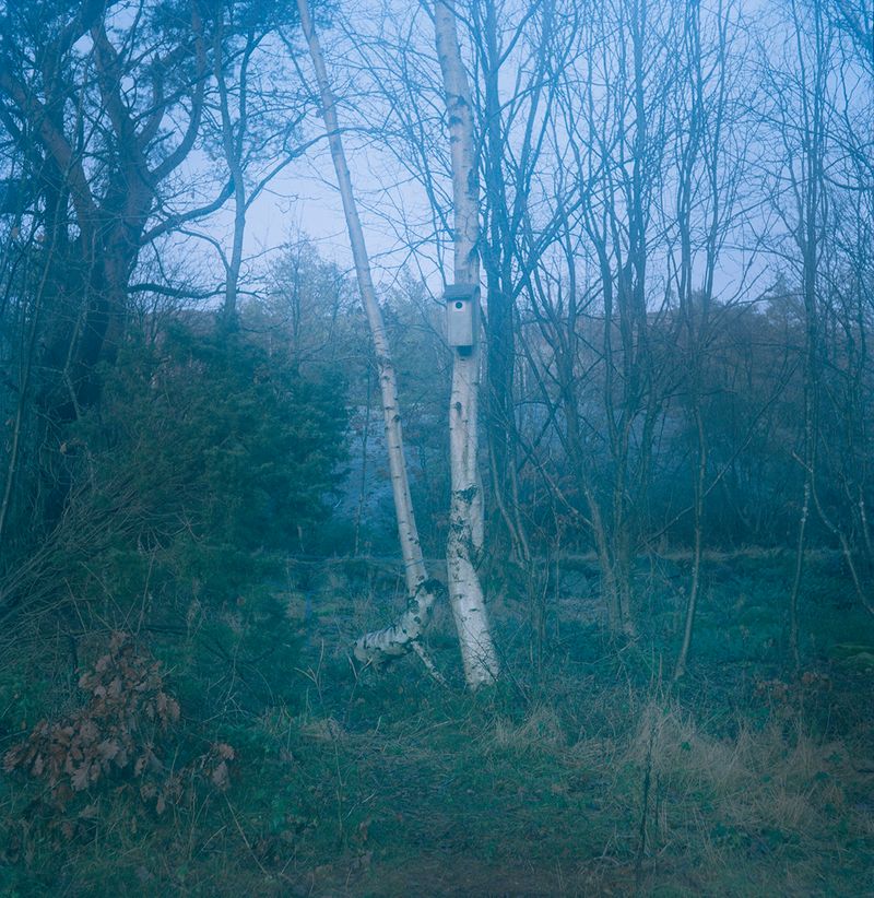 © Charlotta Hammar - Image from the ALL SHELTERS ARE MARKED WITH A SIGN photography project