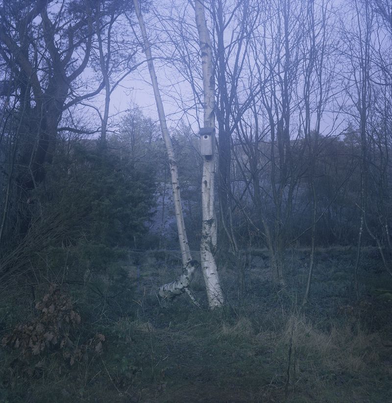 © Charlotta Hammar - Image from the ALL SHELTERS ARE MARKED WITH A SIGN photography project