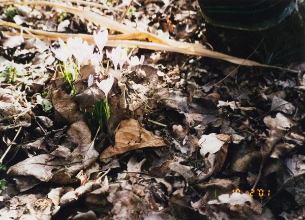© Jana Kießer - Image from the das bleibt unter uns (this remains between us) photography project