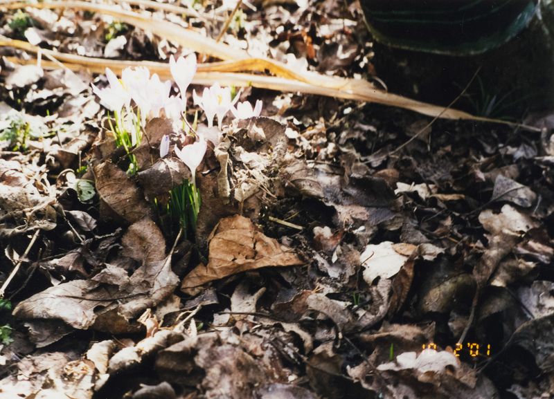 © Jana Kießer - Image from the das bleibt unter uns (this remains between us) photography project