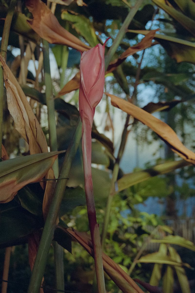 © Jana Kießer - Image from the das bleibt unter uns (this remains between us) photography project