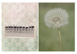 I DO NOT WANT TO DESAPPEAR