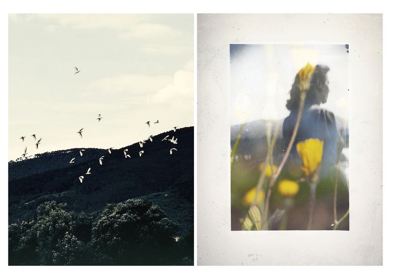 © Nicoletta Cerasomma - waiting for your return and flowers bloom in the fields