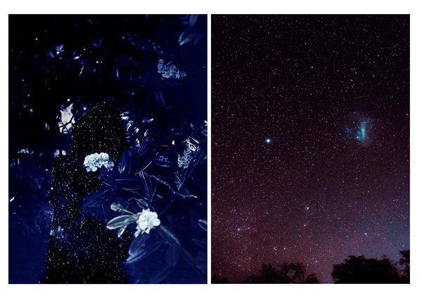 © Nicoletta Cerasomma - silently into the night