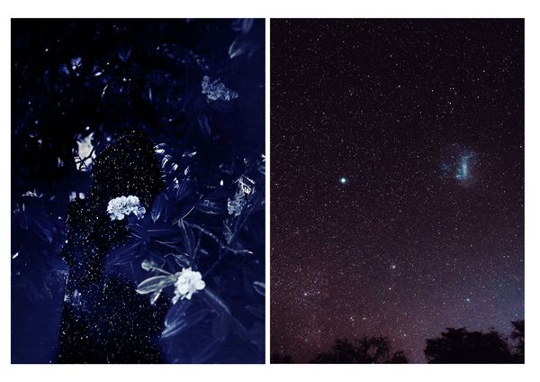 © Nicoletta Cerasomma - silently into the night