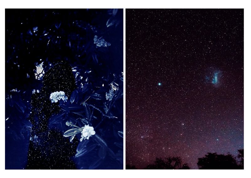 © Nicoletta Cerasomma - silently into the night