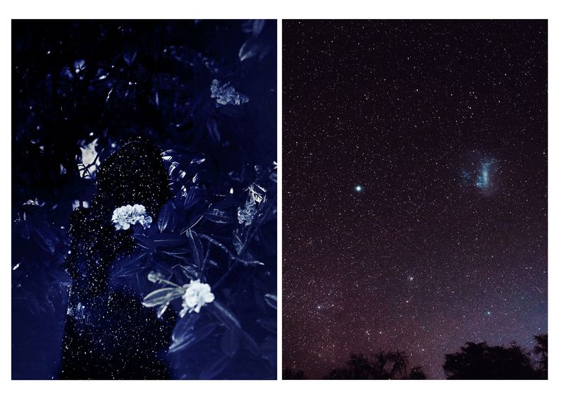 © Nicoletta Cerasomma - silently into the night