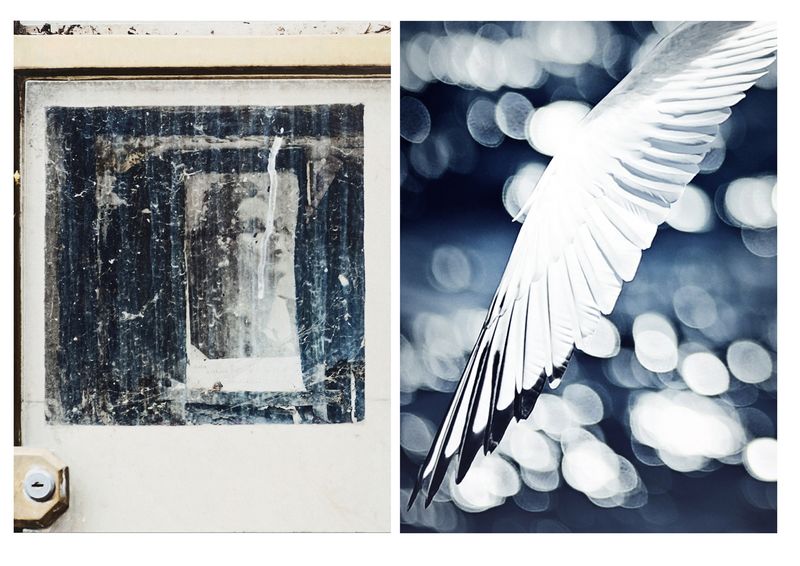 © Nicoletta Cerasomma - Flying away