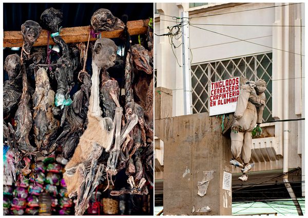 © Nicoletta Cerasomma - Inca tradition and culture are frequent and deeply rooted in Andean Countries.