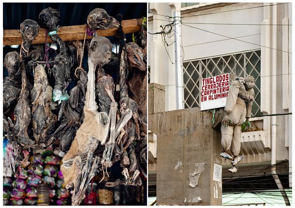 © Nicoletta Cerasomma - Inca tradition and culture are frequent and deeply rooted in Andean Countries.