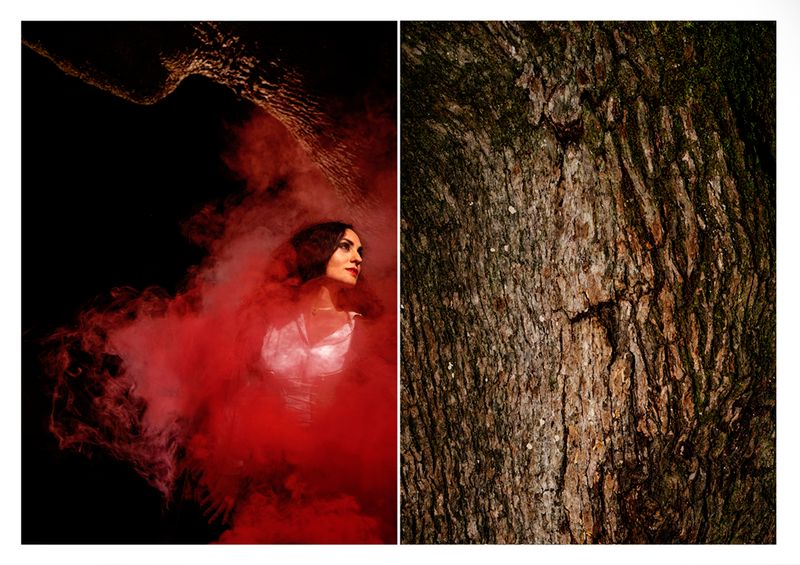 © Nicoletta Cerasomma - Image from the Cryptic Venus photography project