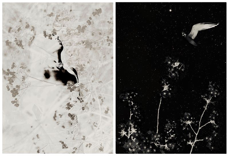 © Nicoletta Cerasomma - Image from the Empty Space photography project