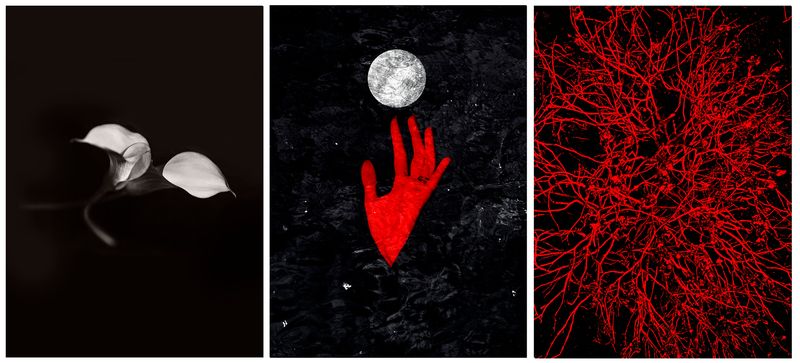 © Nicoletta Cerasomma - Image from the Empty Space photography project