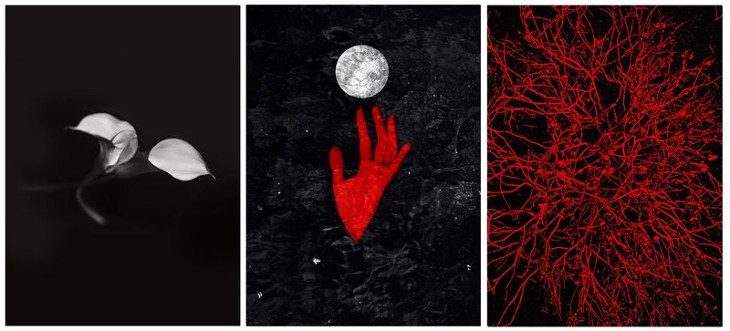 © Nicoletta Cerasomma - Image from the Empty Space photography project