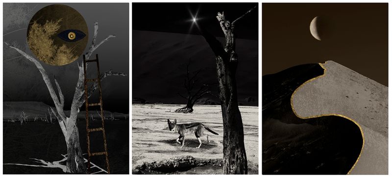 © Nicoletta Cerasomma - Image from the Empty Space photography project