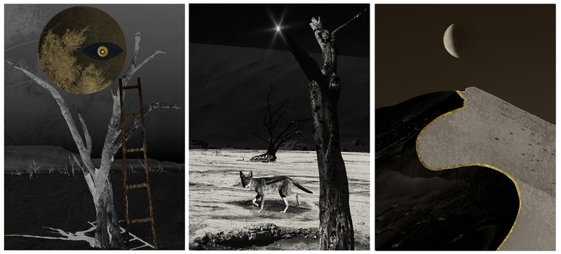 © Nicoletta Cerasomma - Image from the Empty Space photography project