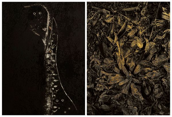 © Nicoletta Cerasomma - Image from the Empty Space photography project