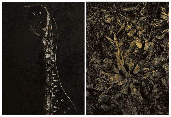 © Nicoletta Cerasomma - Image from the Empty Space photography project