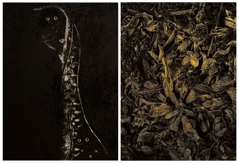 © Nicoletta Cerasomma - Image from the Empty Space photography project