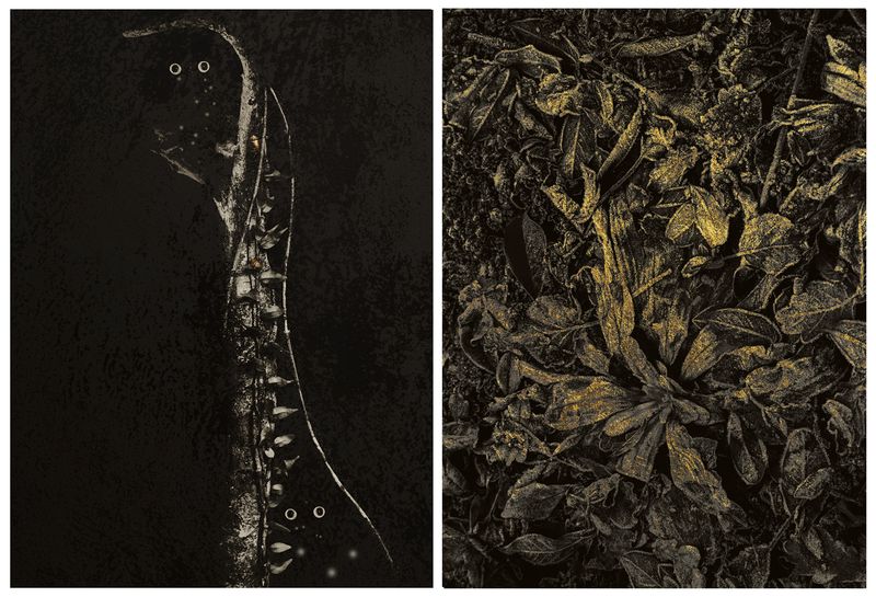 © Nicoletta Cerasomma - Image from the Empty Space photography project