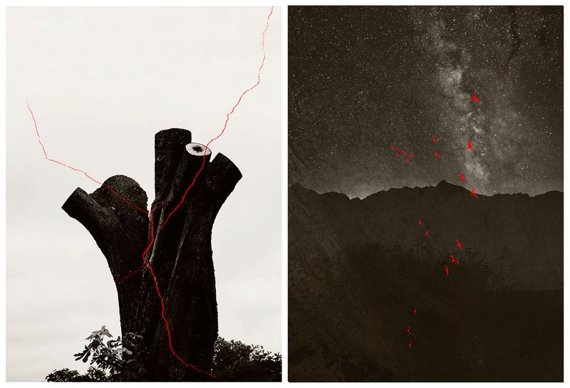 © Nicoletta Cerasomma - Image from the Empty Space photography project