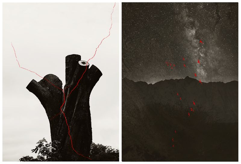 © Nicoletta Cerasomma - Image from the Empty Space photography project