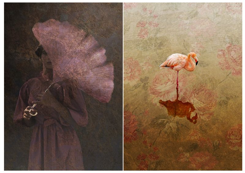 © Nicoletta Cerasomma - Image from the Tithe Muse photography project