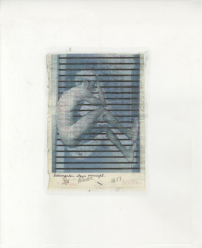 © Ernesto Rivera - Image from the Salamander Stays Overnight photography project