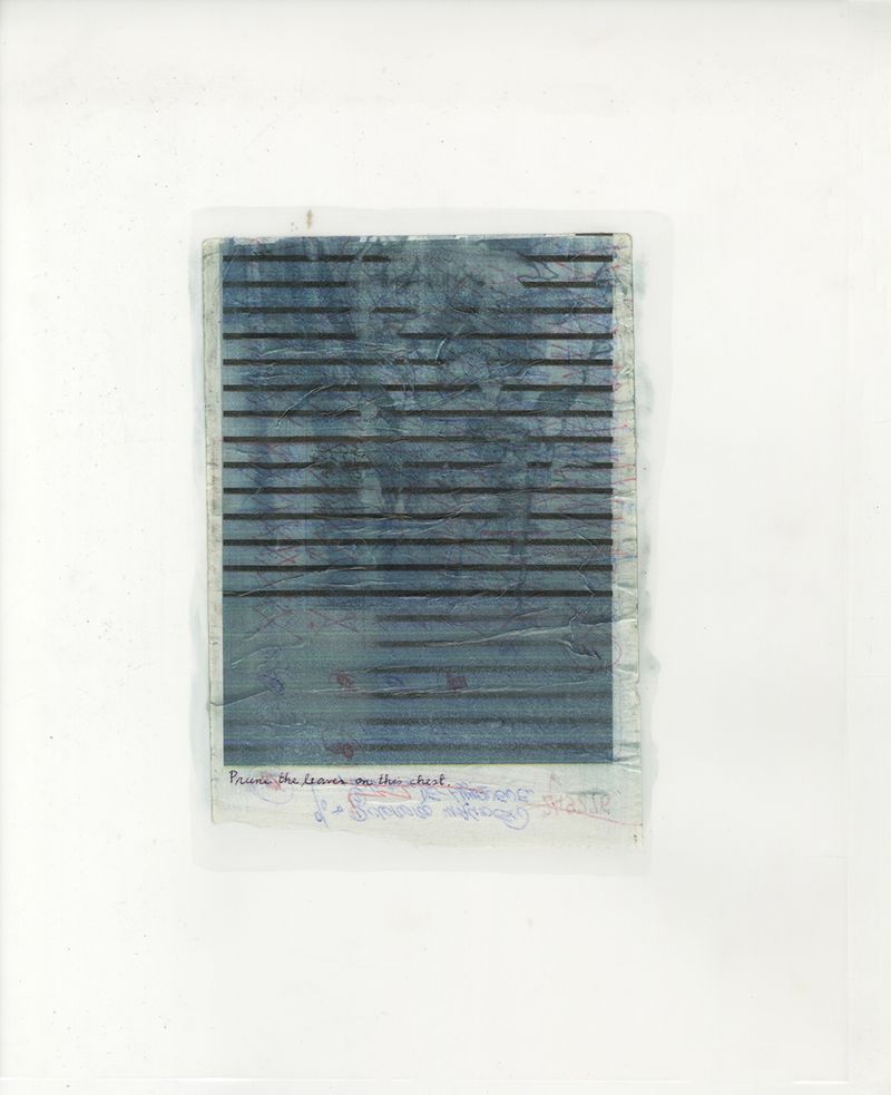 © Ernesto Rivera - Image from the Salamander Stays Overnight photography project