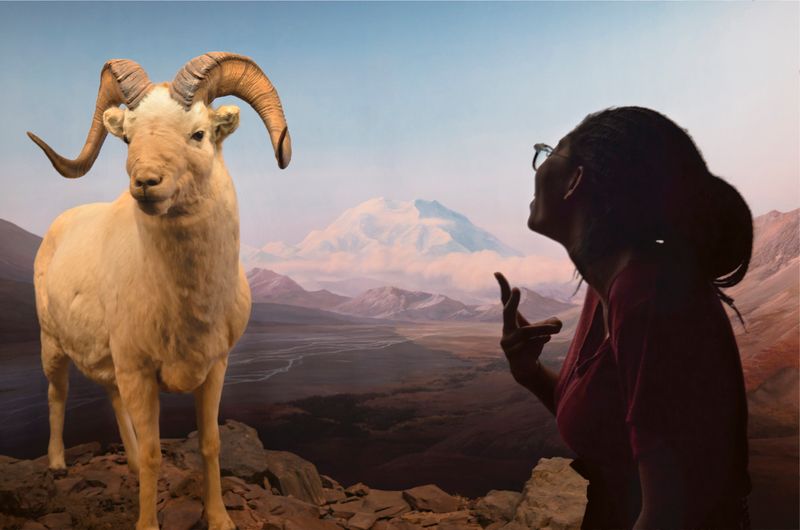 © GERARD DI LUCCIO - Image from the The dialectic in contemporary art photography project